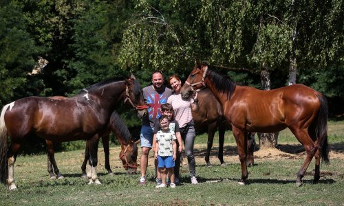 Zbog dječjih problema s bronhitisom vlasnici OPG-a pokrenuli proizvodnju kobiljeg mlijeka, pa se proširili i na kozmetiku: 'Imamo narudžbe iz cijele Europe'