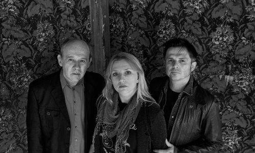 Basistica Bambi Molestersa, profesorica u gimnaziji i književna prevoditeljica o planovima s novim bendom i životu u potresom pogođenom Sisku