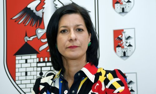 Gradonačelnica Petrinje: Dumbović je želio rasprodati cjelokupnu gradsku imovnu