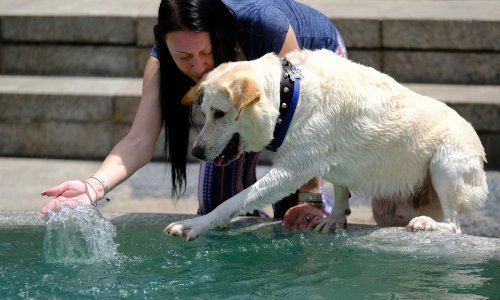 Preporuke za zaštitu od velikih vrućina: Rashladite dom i pijte dovoljno tekućine