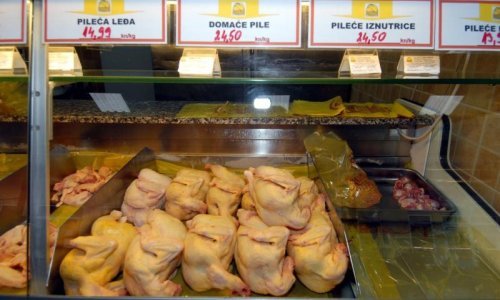 Salmonela u piletini iz Poljske i Hrvatske