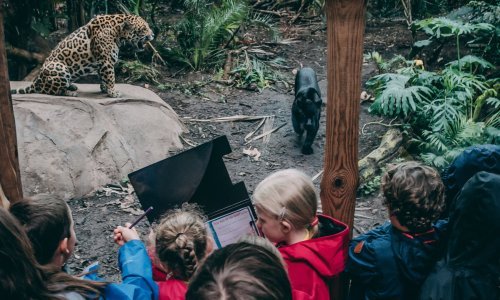 Britanski Zoo čuva DNK životinja koje bi mogle izumrijeti
