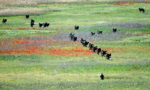 Načelnik glavnog stožera britanske vojske: Pripremite se boriti i pobijediti Rusiju u europskom kopnenom ratu