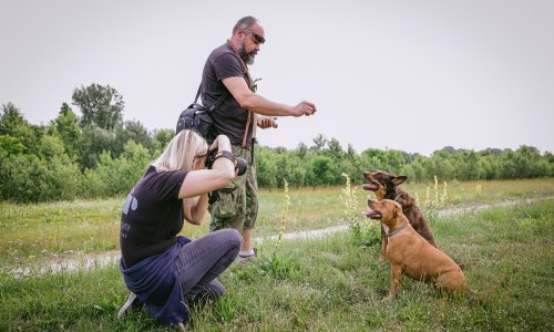 [FOTO/VIDEO] Gordana Popović fotografira kućne ljubimce. Otkrila nam je neke tajne svog zanata i anegdote s 'modelima'