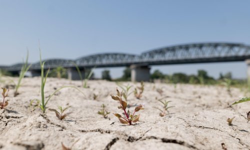 Zbog suše slovenske hidrocentrale proizvode manje struje, jednu su u potpunosti ugasili