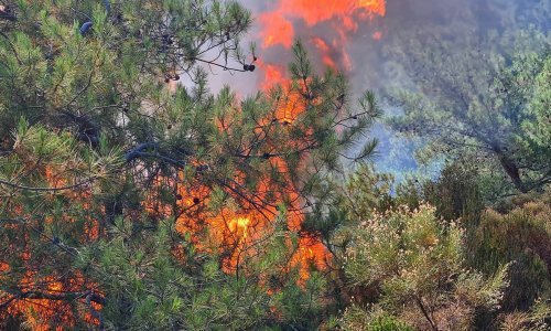 [FOTO] Turskom bijesne požari: Kod odmarališta Marmaris evakuirano gotovo 300 osoba