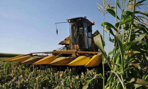 Poljoprivrednici očajni, zbog suše neće biti dovoljno jabuka, kukuruza, mandarina