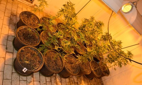 [FOTO] Muškarac u Zagrebu poslovni prostor pretvorio u laboratorij za uzgoj droge