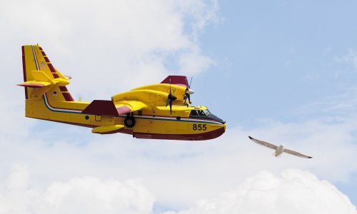 Izbio požar kod poslovnih objekata u Zadru, dignut kanader