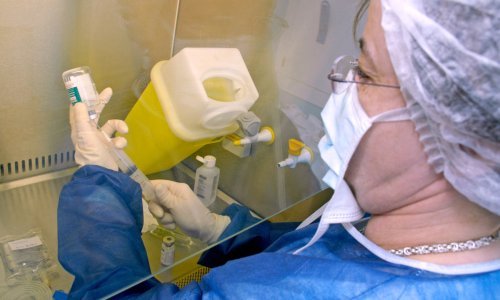 Genetski modificirani virus ubija stanice raka