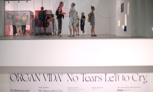Festival 'Organ vida' otvoren izložbom nizozemske umjetnice Viviane Sassen