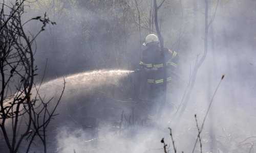 Na Braču gorjelo vozilo i raslinje te farma životinja