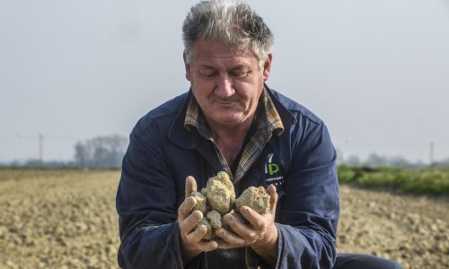 Italija će proglasiti izvanredno stanje u regijama pogođenim sušom