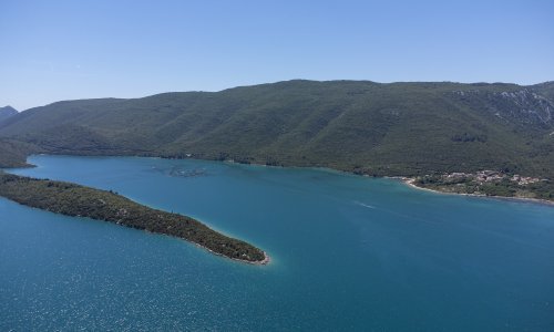 Znanstvenici zaprepašteni brzinom kojom se mijenja sastav stanovnika Jadranskog mora