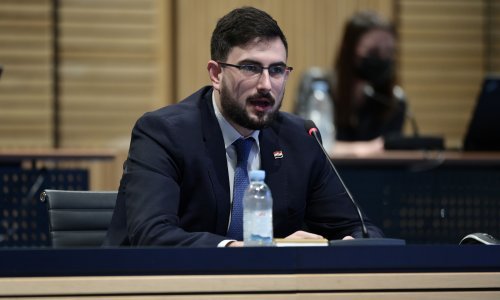 Milić: Marić će sutra biti dostupan medijima za izjave; Vlada i koalicija su stabilne