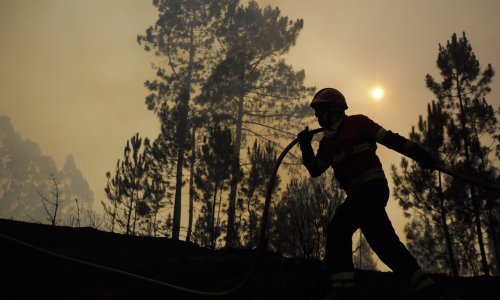 [FOTO] Toplinski val u Portugalu: Trenutno gori čak 36 šumskih požara, tisuću vatrogasaca bori se s vatrom