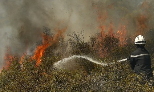 Šumski požari bjesne kod Bordeauxa; toplinski val se nastavlja