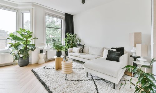 Kako održati biljke na životu dok ste na odmoru