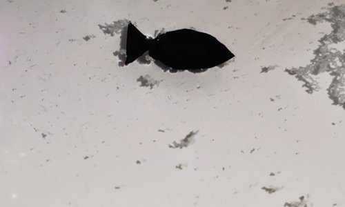 Robotske ribe iz Kine jedu mikroplastiku