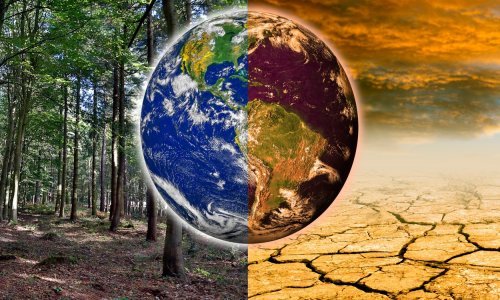 Krajem studenog u Emiratima kreće klimatski skup: Što je točno COP