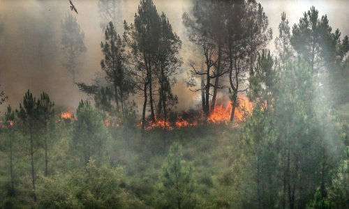 [FOTO] Šumski požari bjesne jugozapadom Francuske, evakuirane tisuće turista
