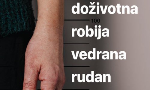 Novi oštar i provokativan roman Vedrane Rudan 'Doživotna robija'