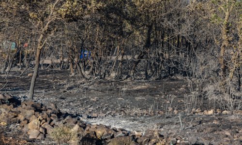 [FOTO] Iza požara u Visočanima ostala spaljena zemlja: Vatrogasci uspjeli obraniti selo, ostaju cijelu noć na terenu