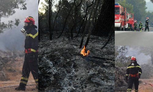 [FOTO] Pogledajte katastrofalne posljedice požara koji su bjesnili diljem Dalmacije