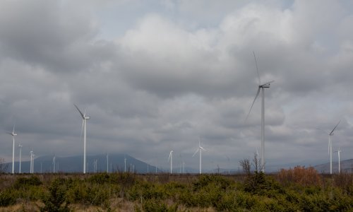 Klimatski kriminal je postao prijetnja globalnoj sigurnosti, primjera ima i kod nas