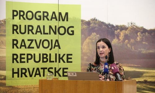 Ministrica objasnila kako se antraks širi među govedima, a kako se zaraze ljudi: Nema razloga za paniku