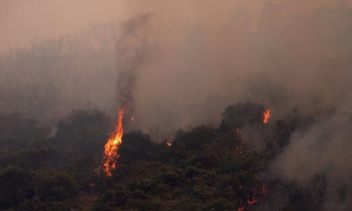 Lokaliziran požar u Milni na Braču: Sudjelovala dva kanadera, a vatrogasci će dežurati cijelu noć