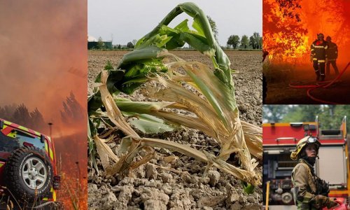 [FOTO/VIDEO] Situacija je alarmantna: Više od polovice teritorija EU je u opasnosti od suše!