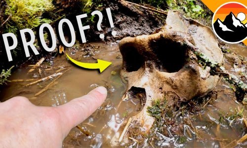 Coyote Peterson objavio da je našao lubanju Bigfoota, svi ga ismijali, a onda je okrenuo priču