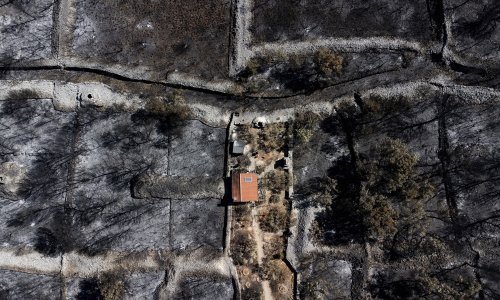 [FOTO] Spaljena zemlja: Pogledajte apokaliptične prizore nakon požara kod Šibenika