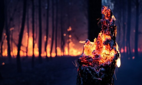 Vatrena stihija iz Italije proširila se na Sloveniju, evakuira se nekoliko sela