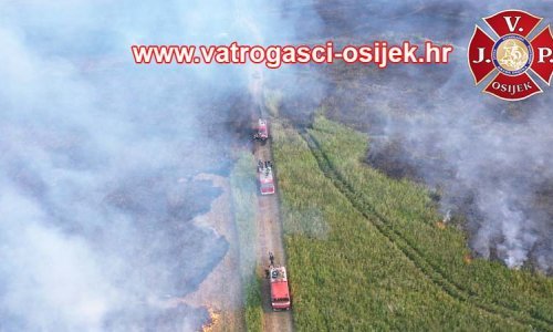 Opet gori u Kopačkom ritu; na teren izišli osječki i baranjski vatrogasci