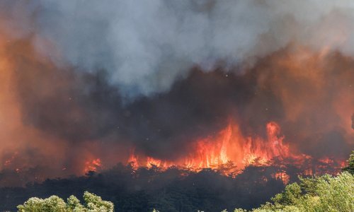 [FOTO/VIDEO] Vatrena stihija u Sloveniji i dalje van kontrole: Stižu dramatične snimke, hrvatski kanader ponovno pomaže u gašenju