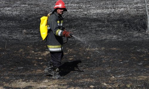 Odbacivanje gorive tvari uzrok požara u Kopačkom ritu
