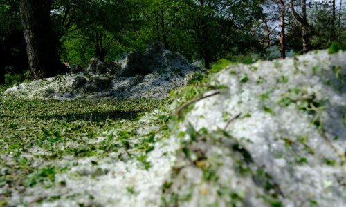 Štete od tuče koja je u svibnju pogodila Podravinu iznose gotovo 30 milijuna kuna