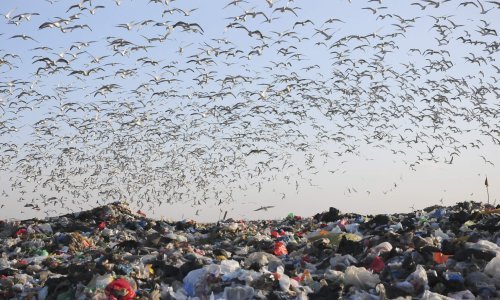 U Viškovu proizvodnja struje iz odlagališnog plina