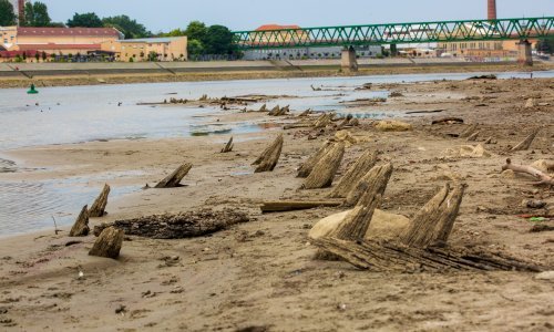 [FOTO] Vodostaj Drave je blizu rekordnog minimuma, presušilo pola korita, pogledajte što je izronilo na riječnom dnu