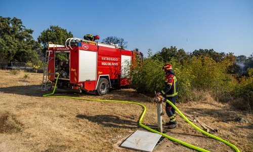 Još uvijek gori kod Imotskog - u plamenu nisko raslinje, trava i borova šuma