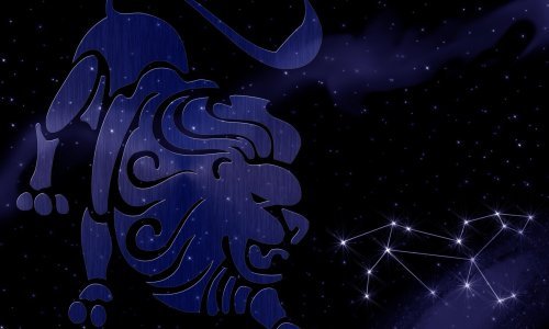 Koja su idealna zanimanja za Lava: Vole biti u centru pažnje i sjajno se snalaze u rukovodećim ulogama