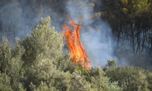 Lokaliziran požar kod Muća, izgorjelo 30 hektara niskog raslinja