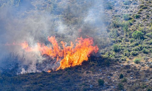U požaru izgorjelo 250 hektara borove šume, ozlijeđena četiri vatrogasca