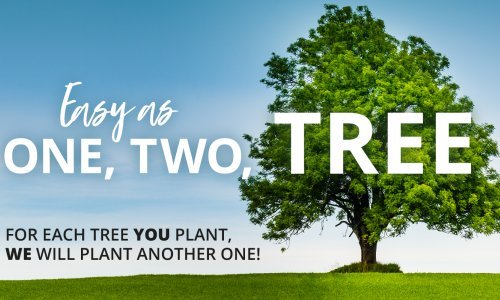 U novoj donacijskoj kampanji, Valamar sa svojim gostima sadi nove šume