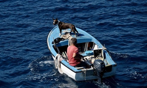 Zbog manjeg ulova i restrikcija, Hrvatska bi do 2027. trebala utrostručiti proizvodnju ribe iz uzgoja