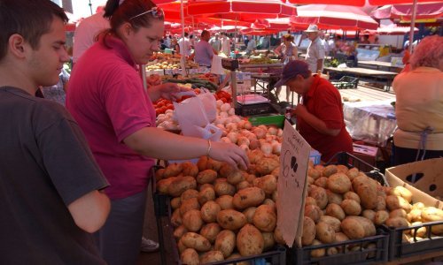Zbog suše ove godine neće biti dovoljno domaćeg krumpira: Rješenje je uvoz, no veliko je pitanje koliko ćemo ga plaćati