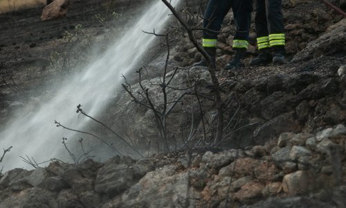 Požar kod Meje pod nadzorom