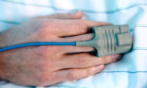 Hrvatski znanstvenik predvodio tim koji je otkrio da se propadanje tkiva nakon smrti može zaustaviti